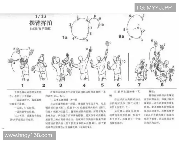 从零基础到高手之路羽毛球速度提升全方位指南 从零基础到高手之路羽毛球速度提升全方位指南